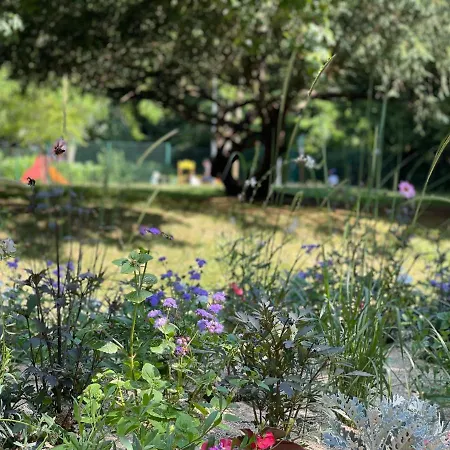 Lille Saint Maur Apartament